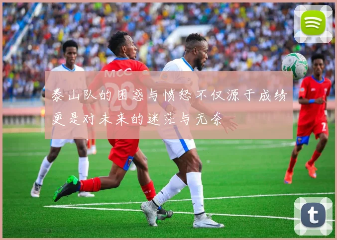 泰山队的困惑与愤怒不仅源于成绩更是对未来的迷茫与无奈